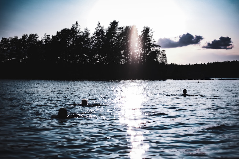 people in body of water during day