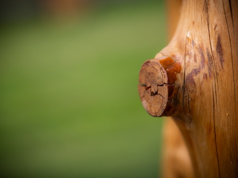 A close-up view of a wooden surface with a prominent knot in the wood, highlighted by rich textures and a glossy finish. The background is a smooth gradient of soft green, creating a natural contrast.