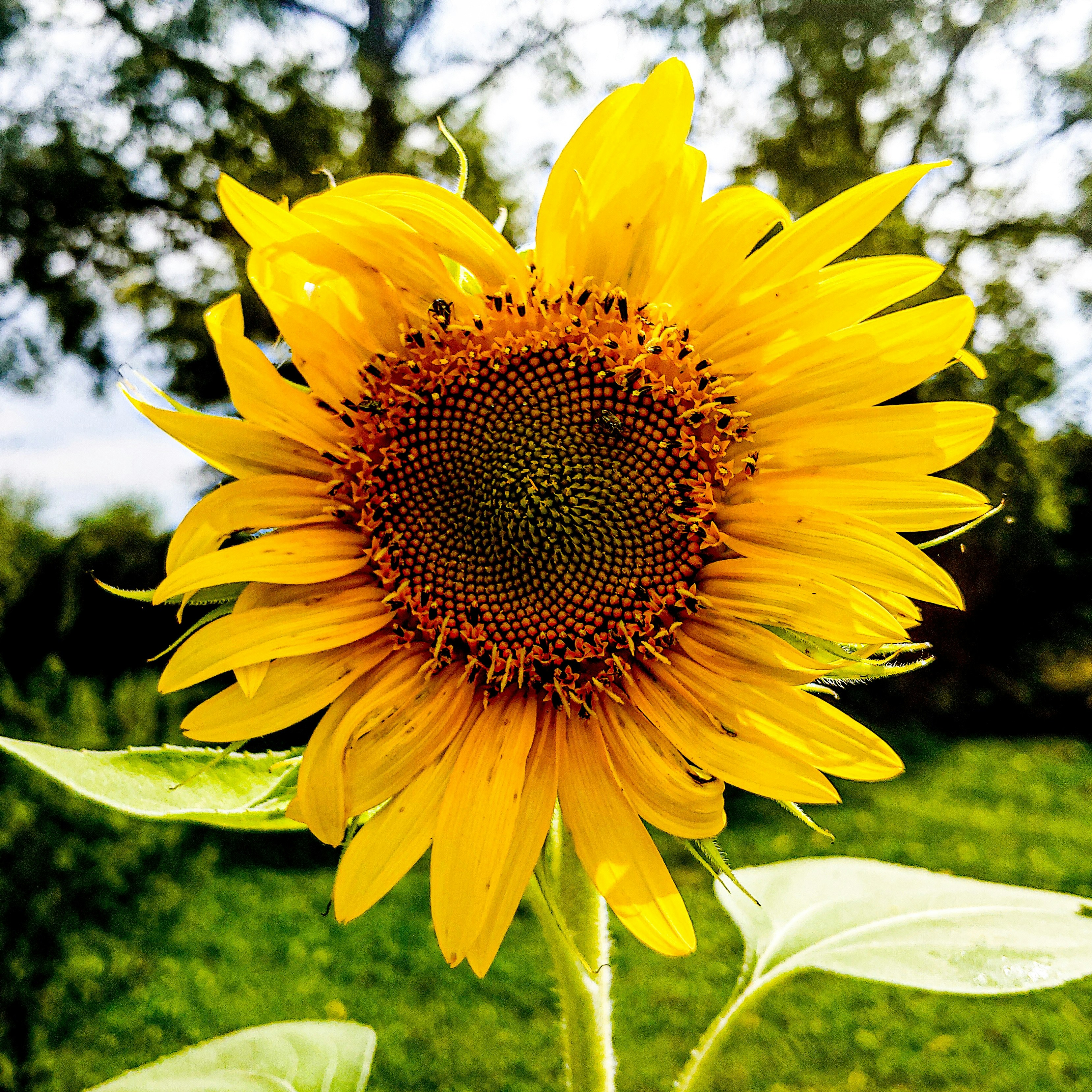 Photo by lanas_photography