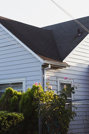 A residential building with a gabled roof is partially obscured by lush greenery and blooming flowers, with sunlight casting soft shadows. The exterior cladding of the house is light-colored and there are windows visible. A chain-link fence is also present.