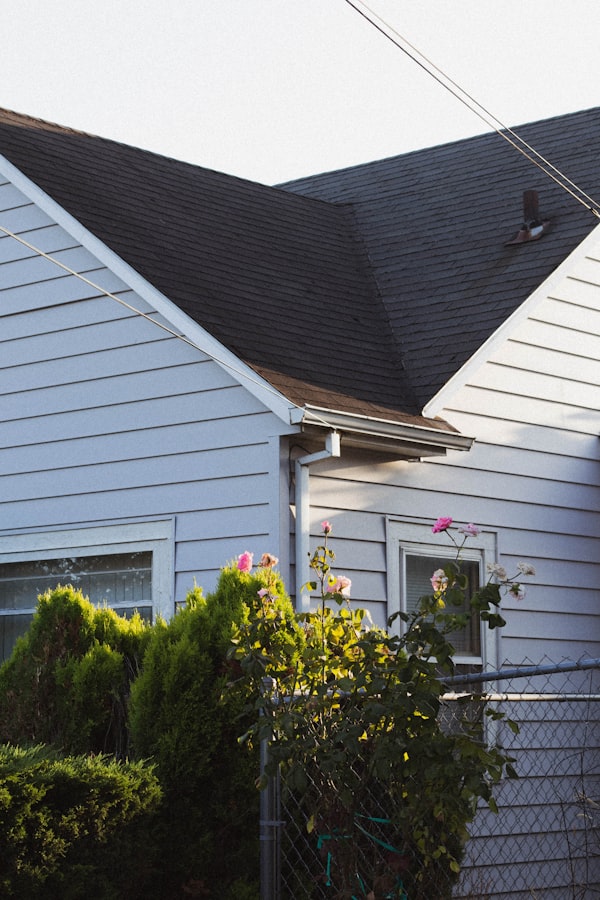 Spotting roof leaks