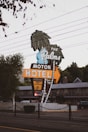 A retro-style motel sign reads 'The Palms Motor Hotel' with neon lights and features palm tree illustrations. The sign offers amenities like free TV and continental rates. The setting includes power lines above and a glimpse of the motel building in the background, creating a nostalgic roadside atmosphere.