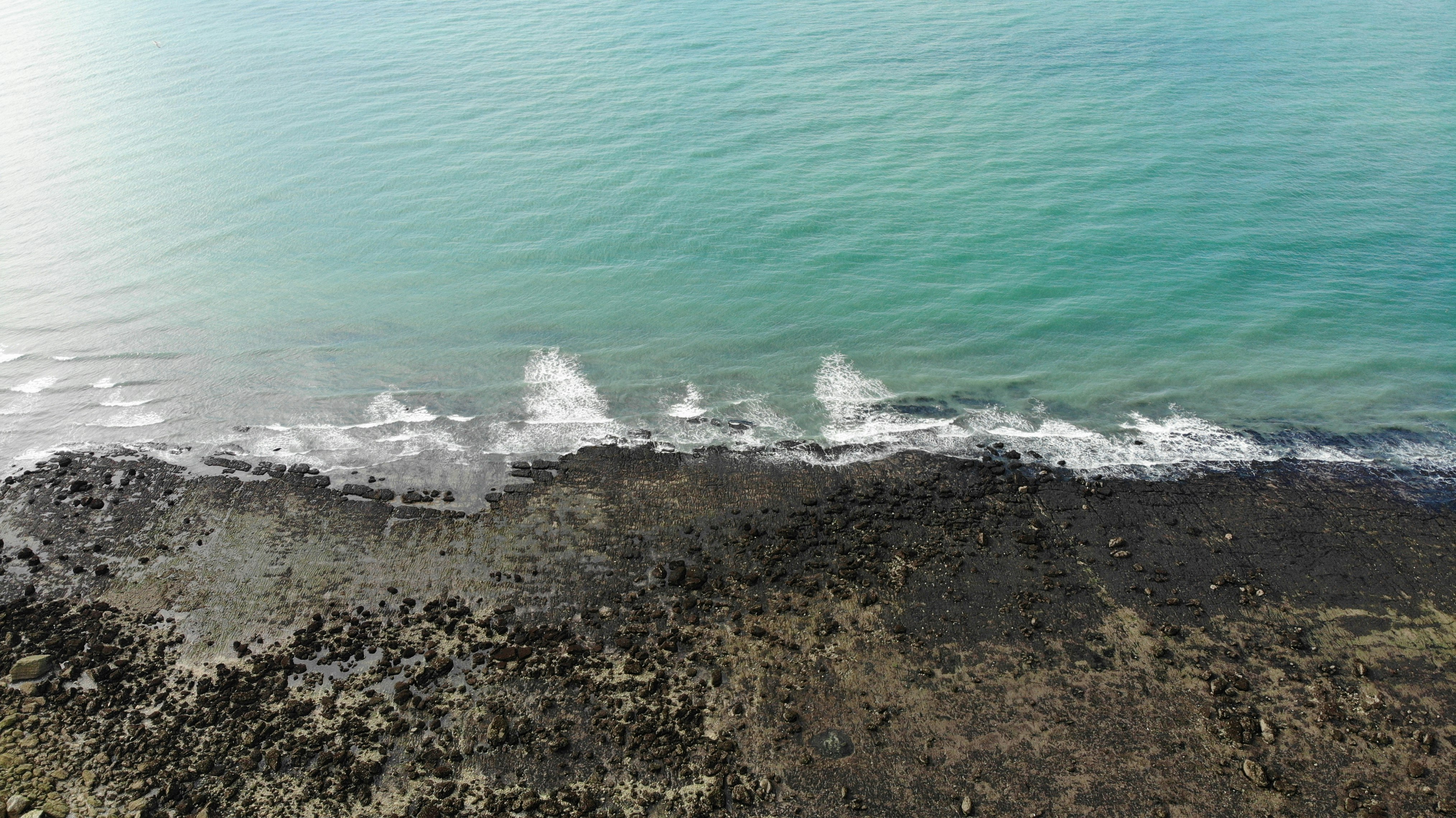 aerial photo of seashore during daytime
