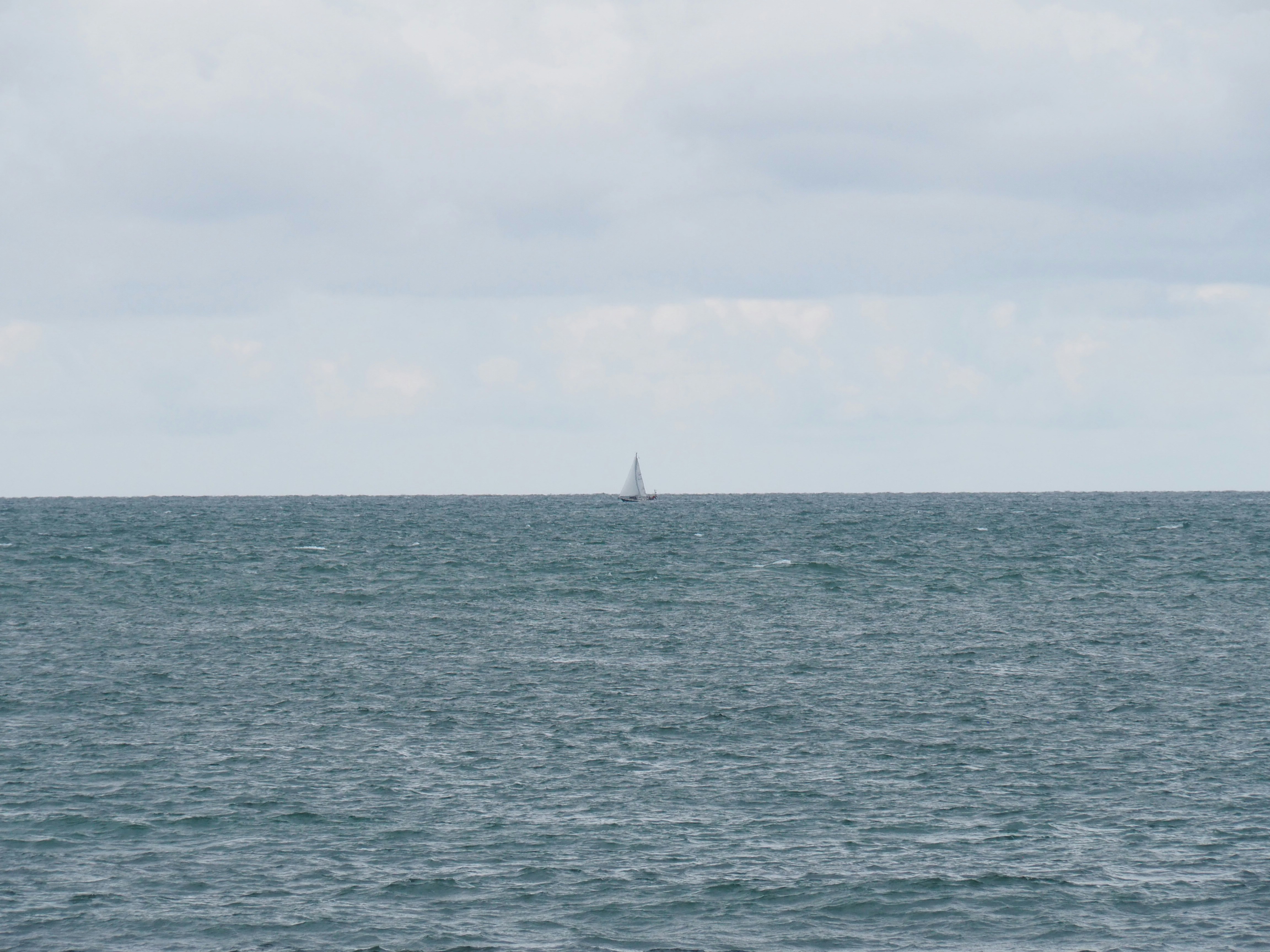 Photo by nimbus_vulpis