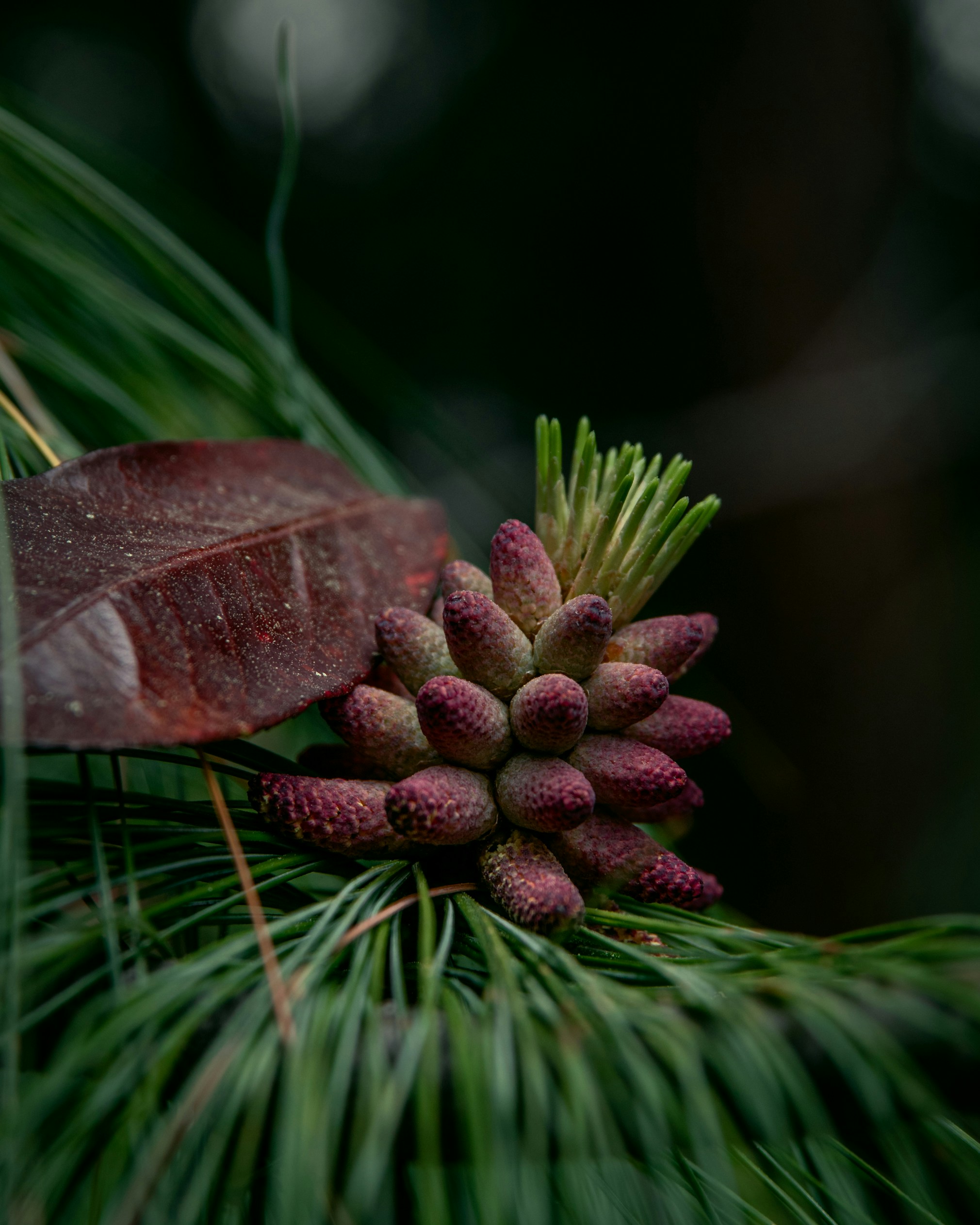 Photo by kirillpershin