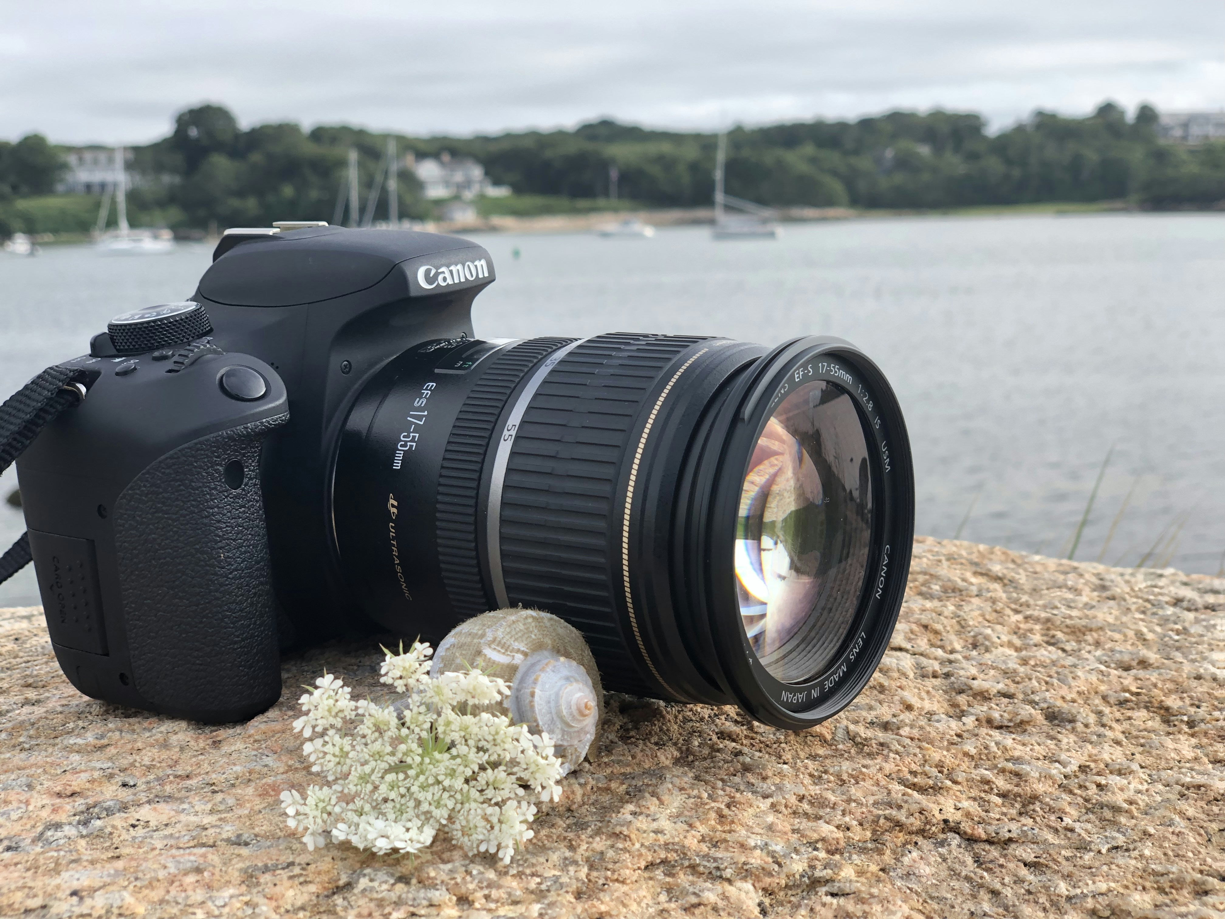 Explore Our Nature Photography Collection