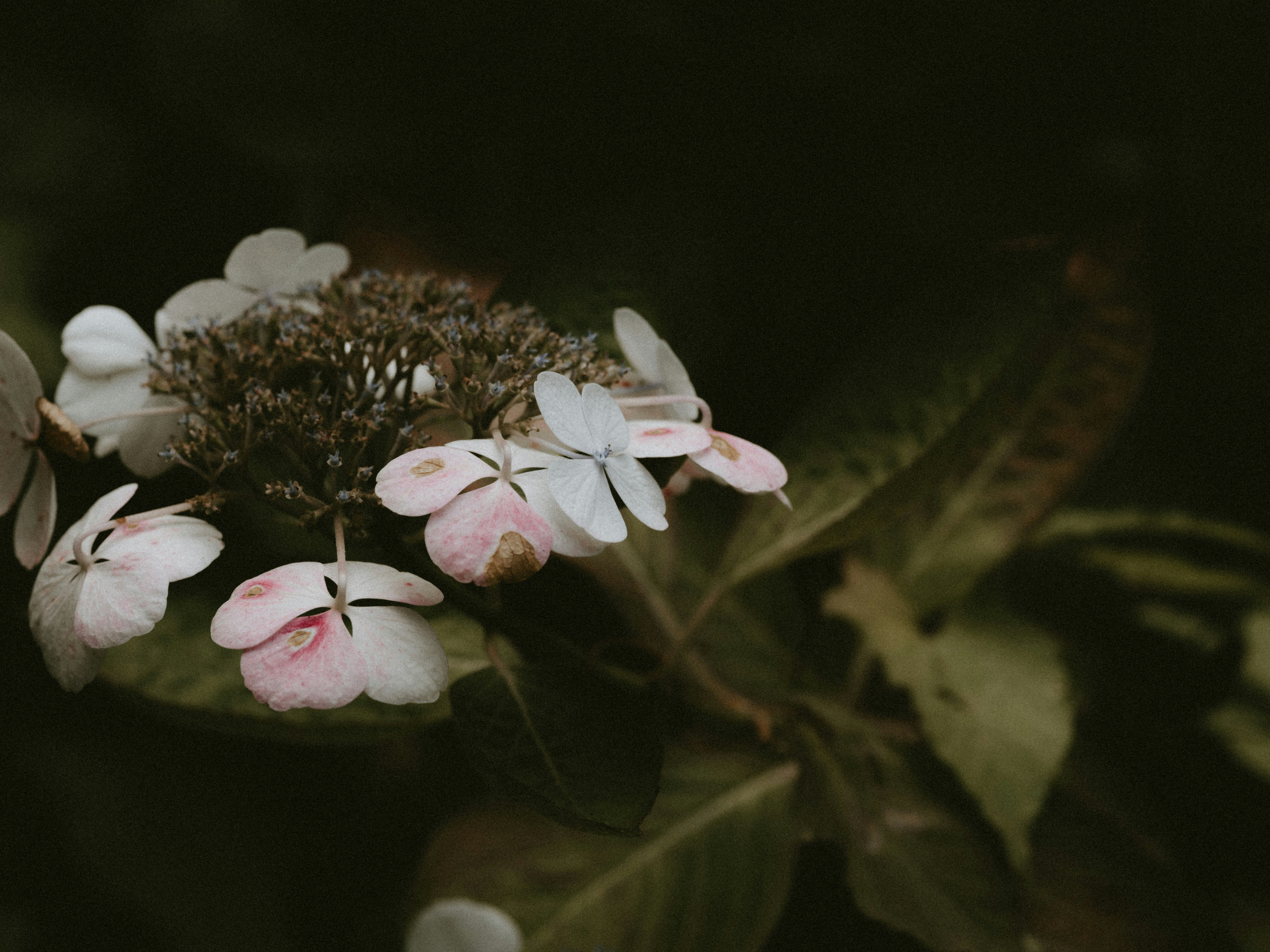 Photo by anniespratt