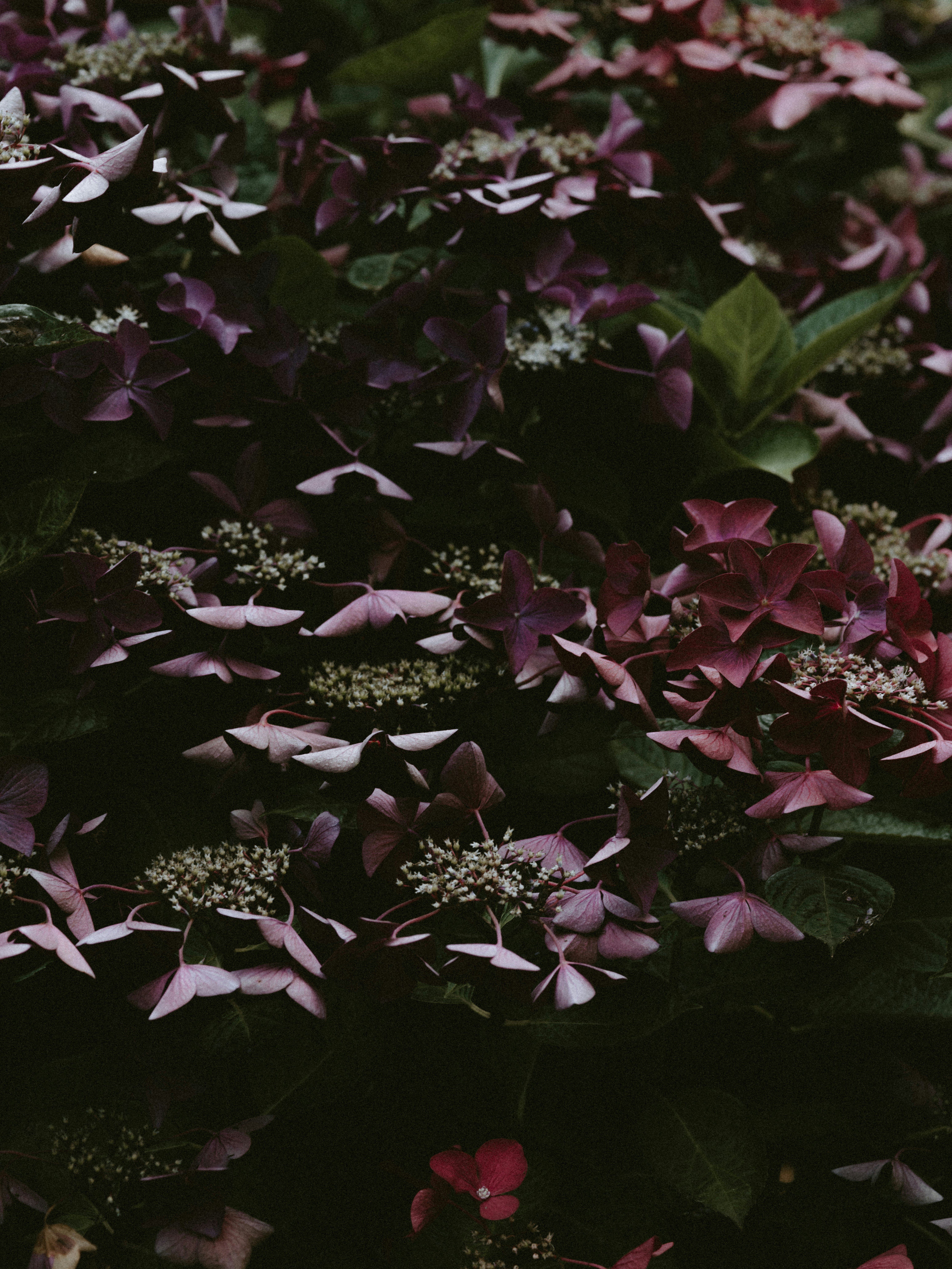 Photo by anniespratt