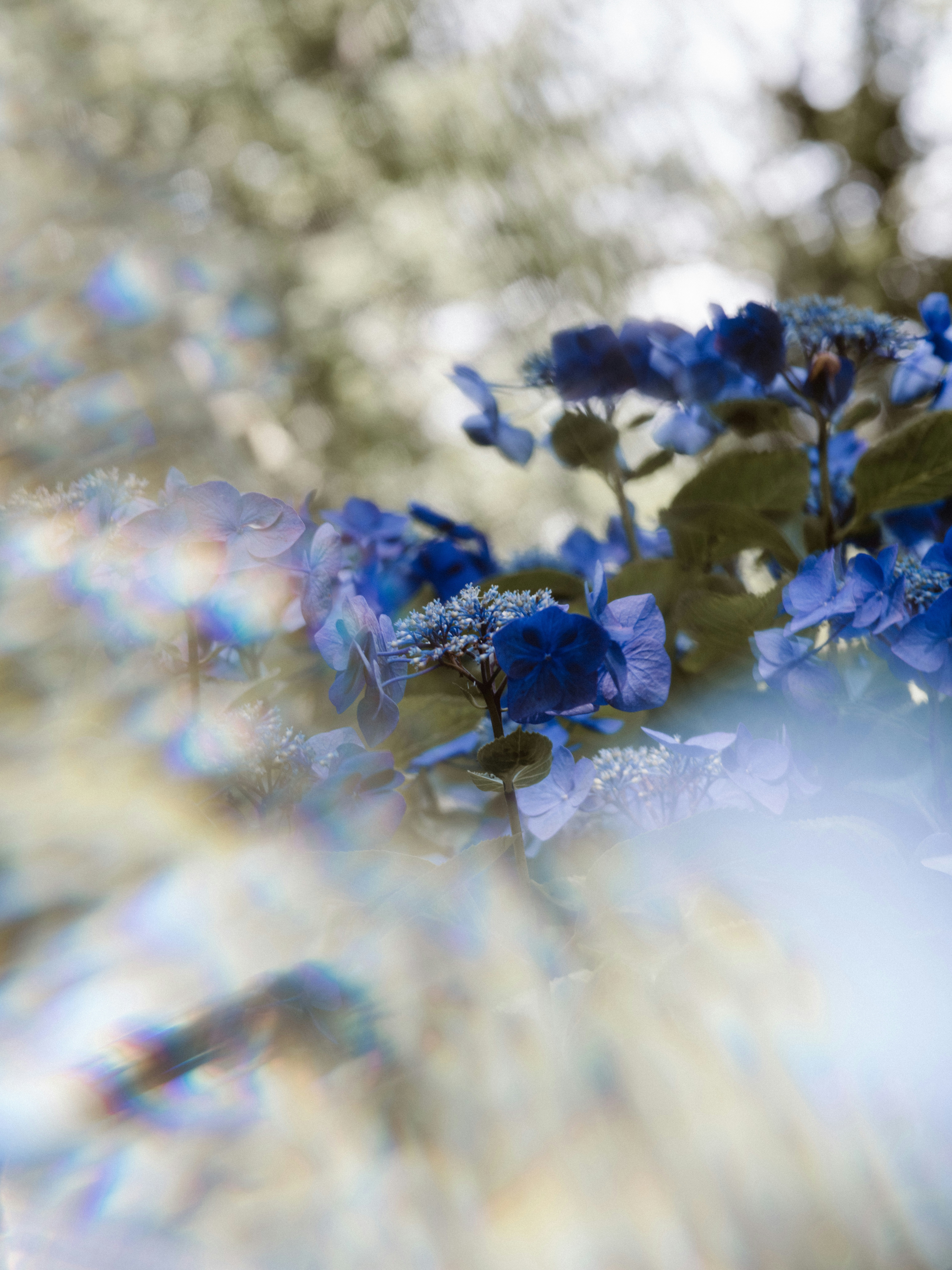 Photo by anniespratt