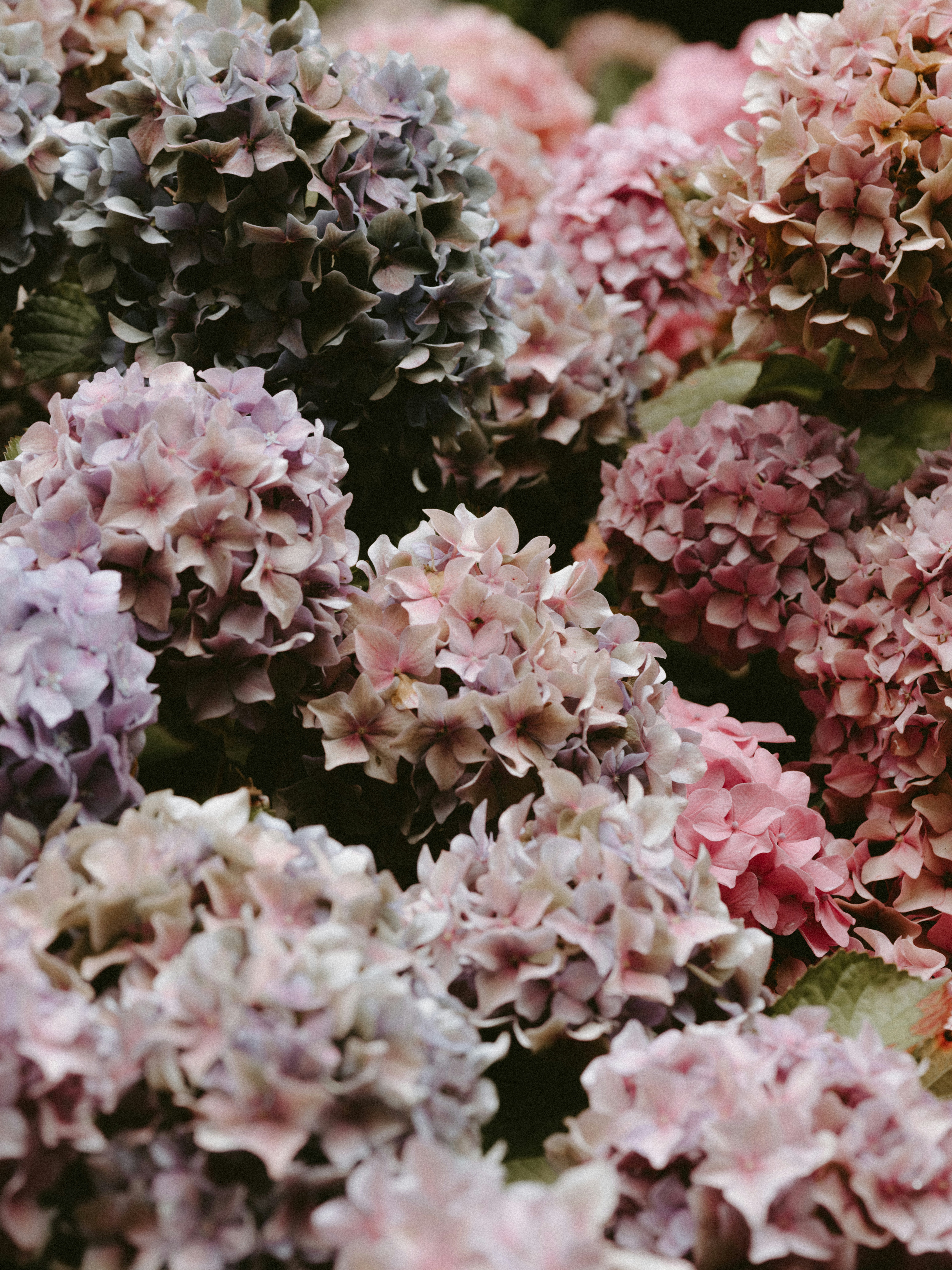 Decision Quicksand: When Changing Your Mind Makes Things Worse