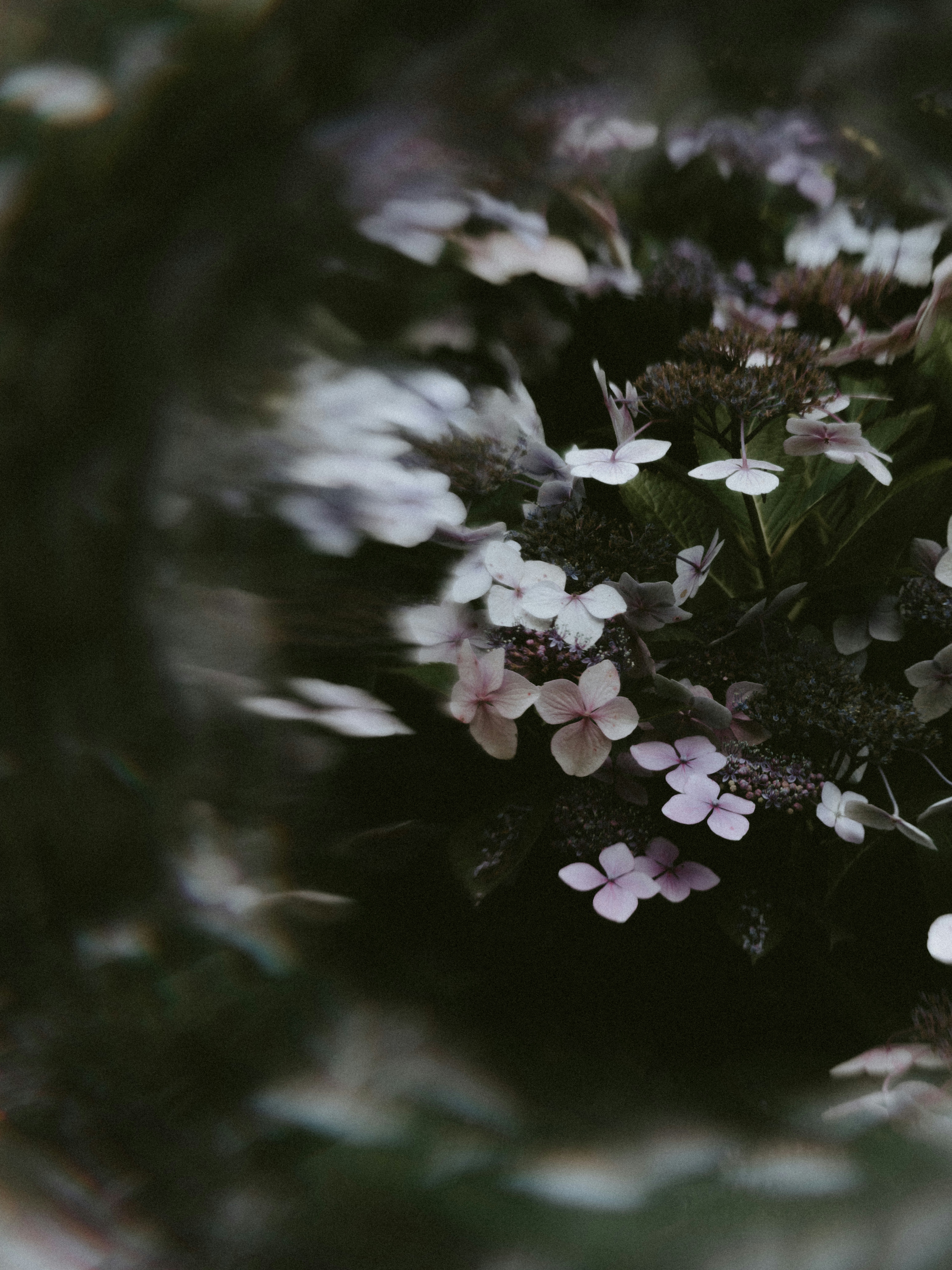 Photo by anniespratt