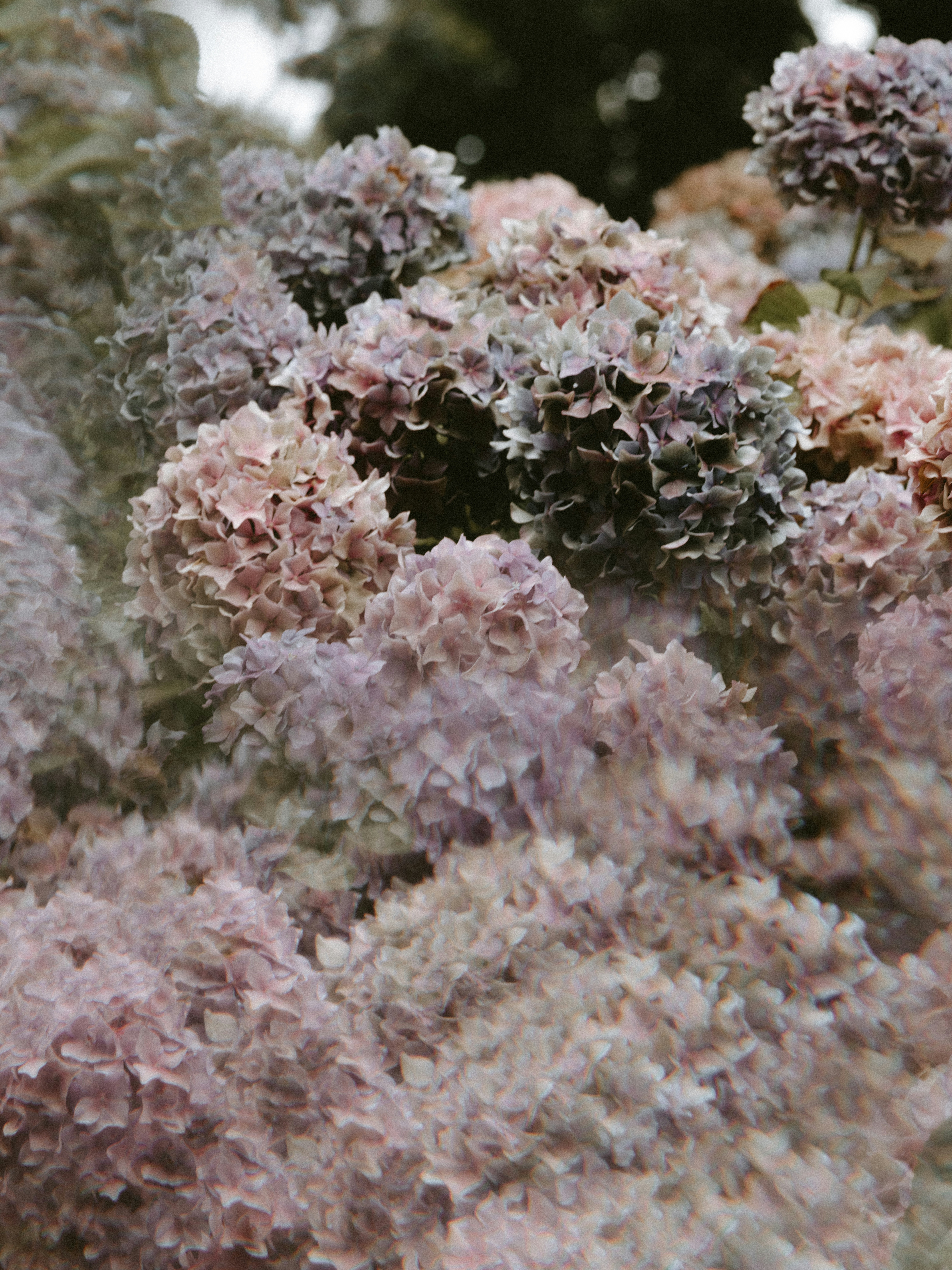 Photo by anniespratt