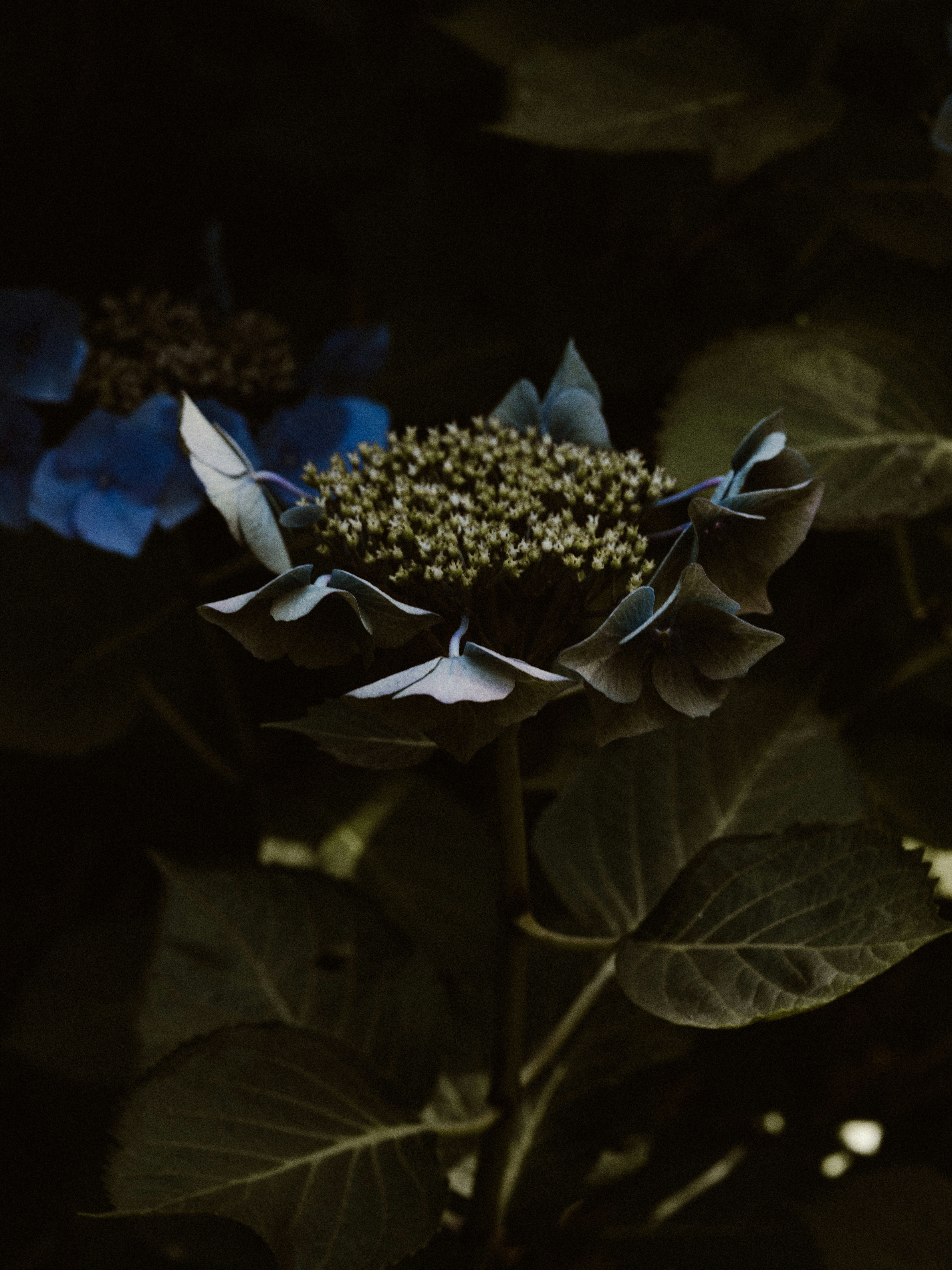 Photo by anniespratt