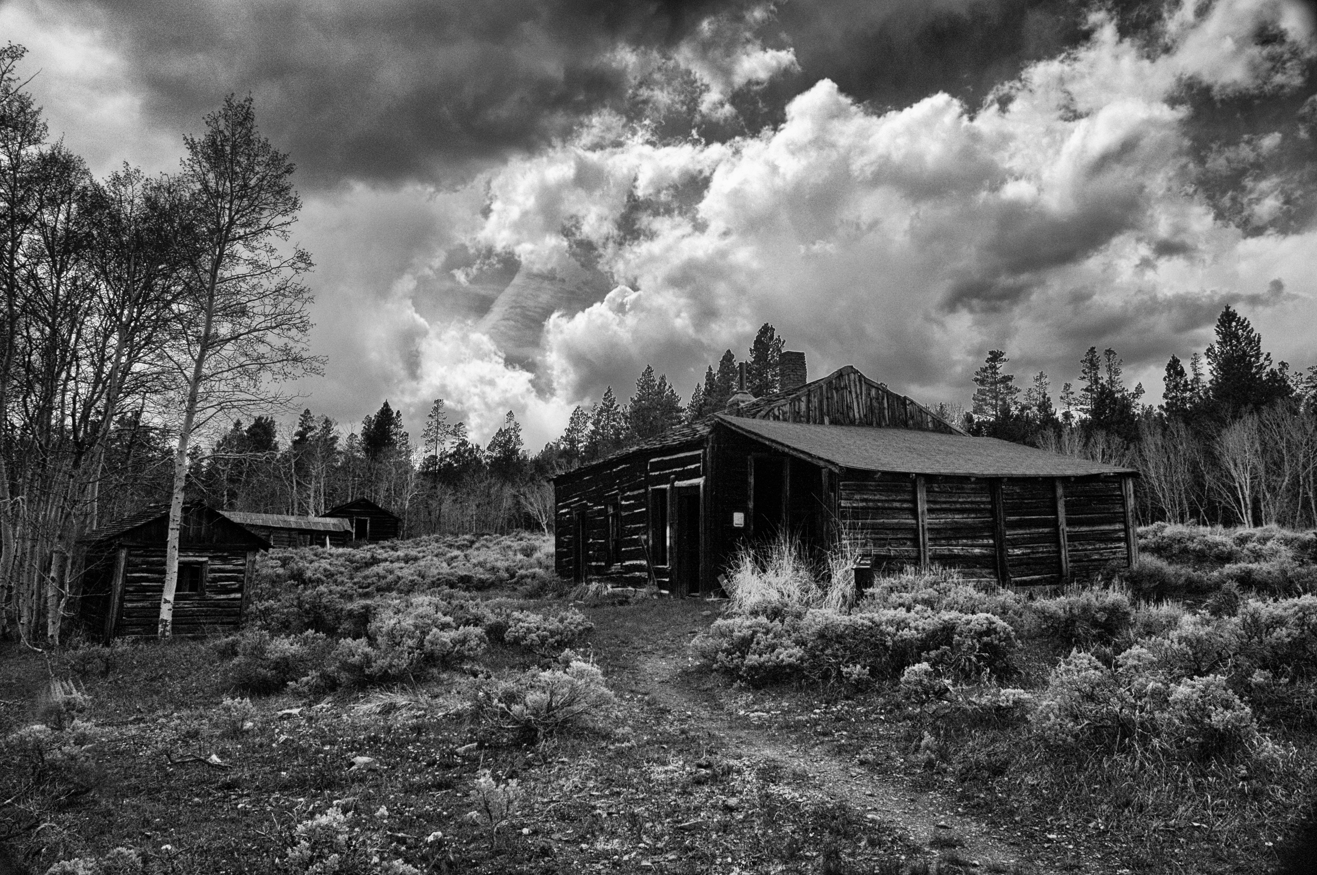 photo-1566077666883-e67cf2c18d14