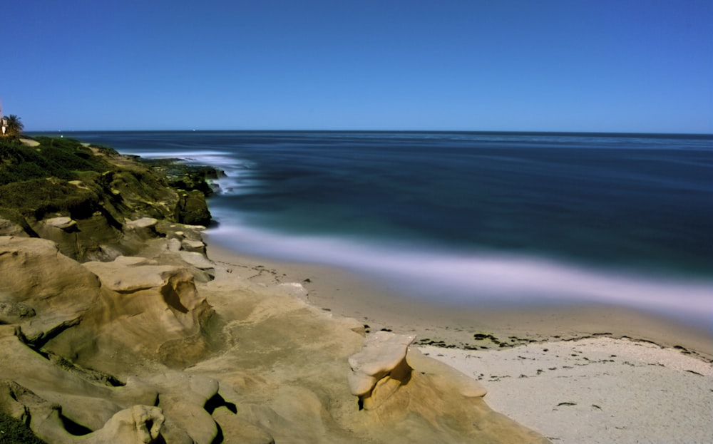 seashore during daytime