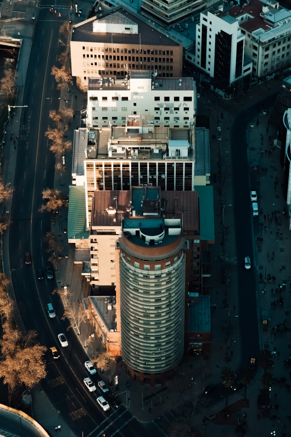 aerial photography of buildings