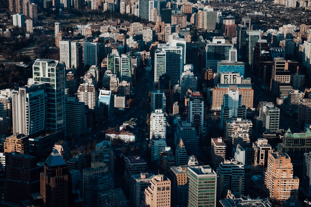 aerial photo of city buildings