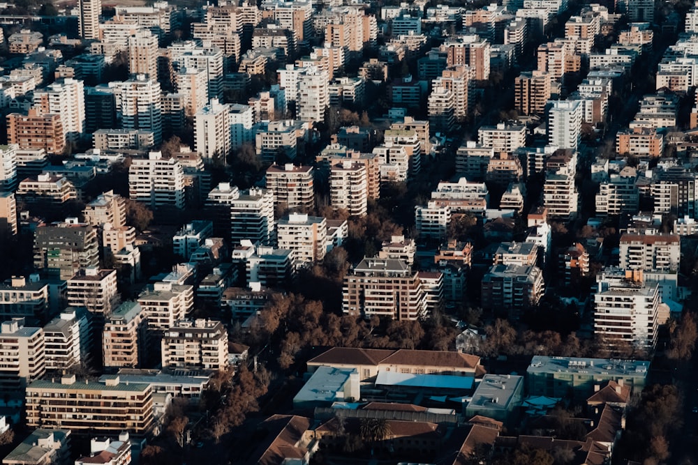 aerial photography of concrete buildings