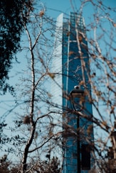 blue tower in macro photography