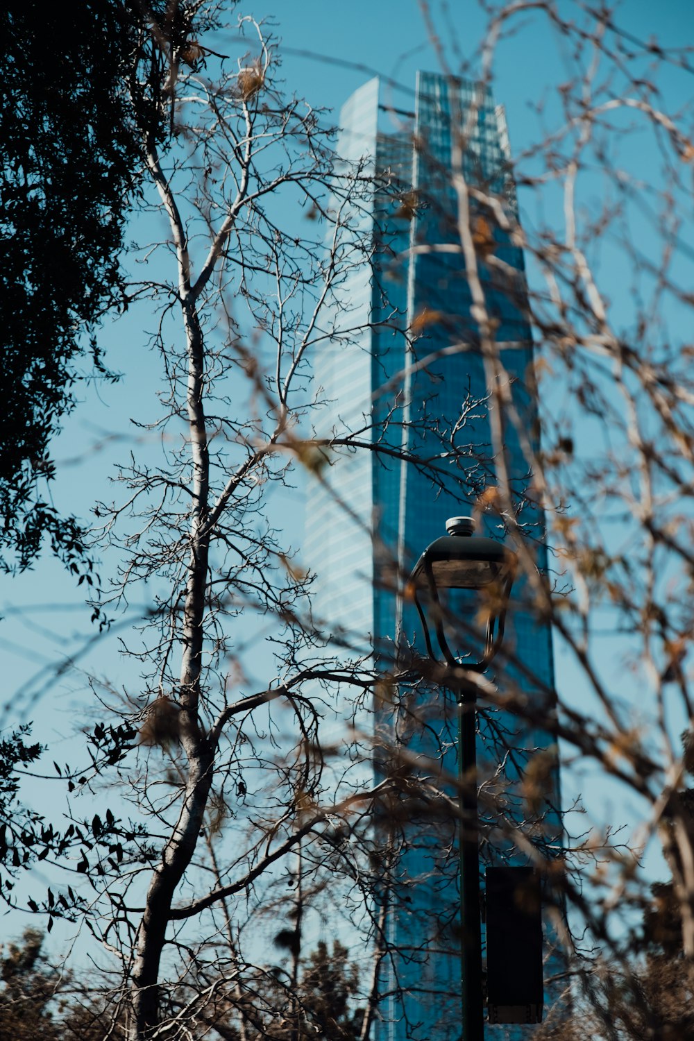 Torre azul na fotografia macro