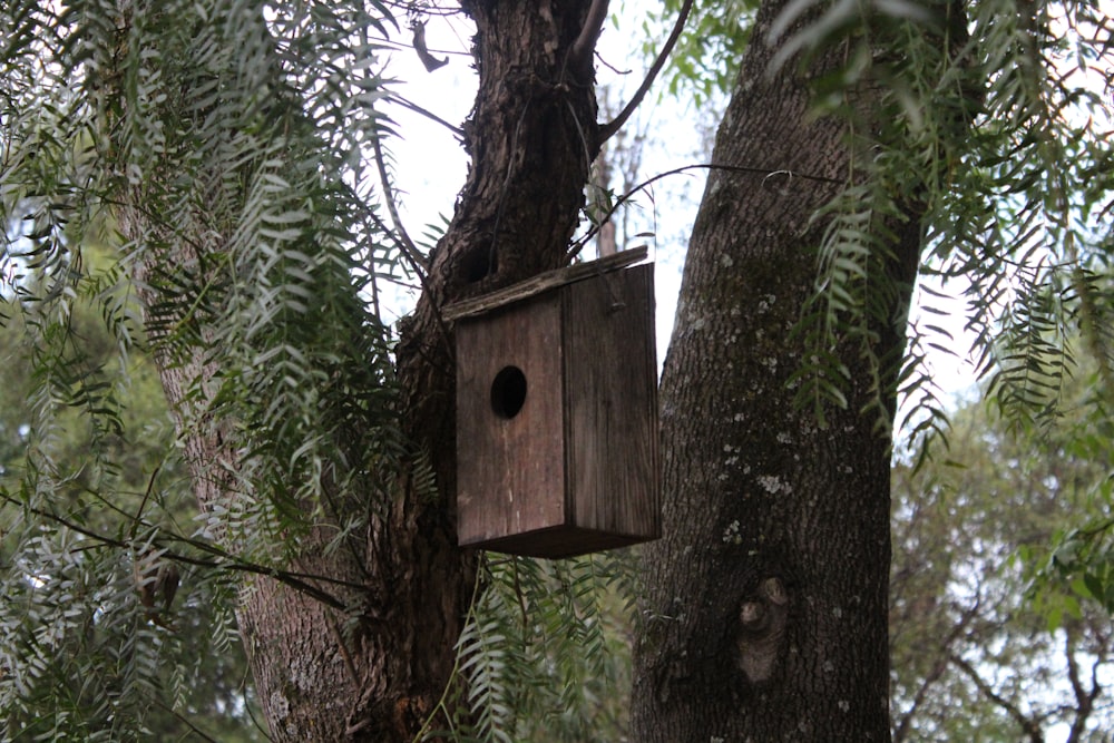 brown wooden bird house