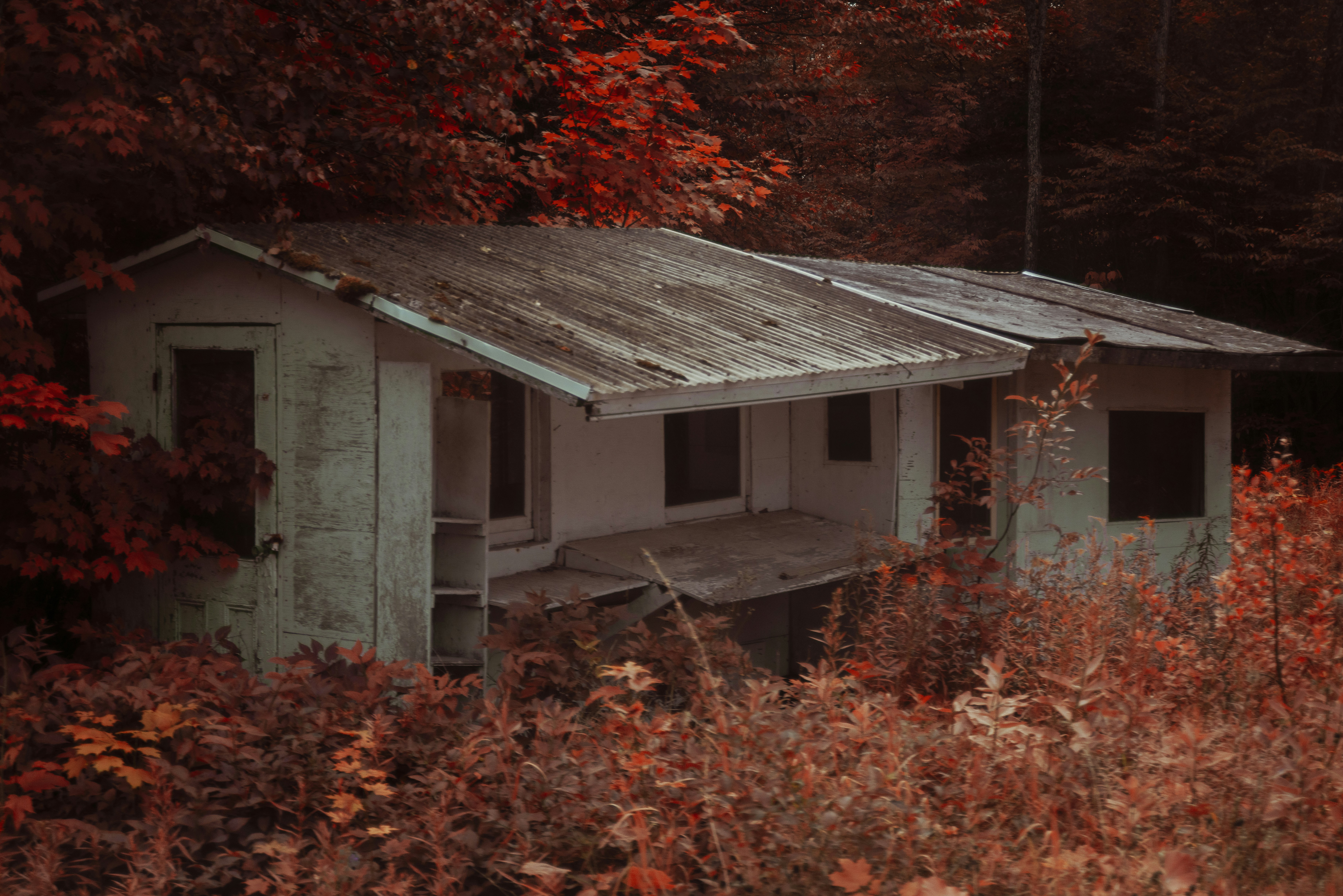 Photo by tristan_gevaux