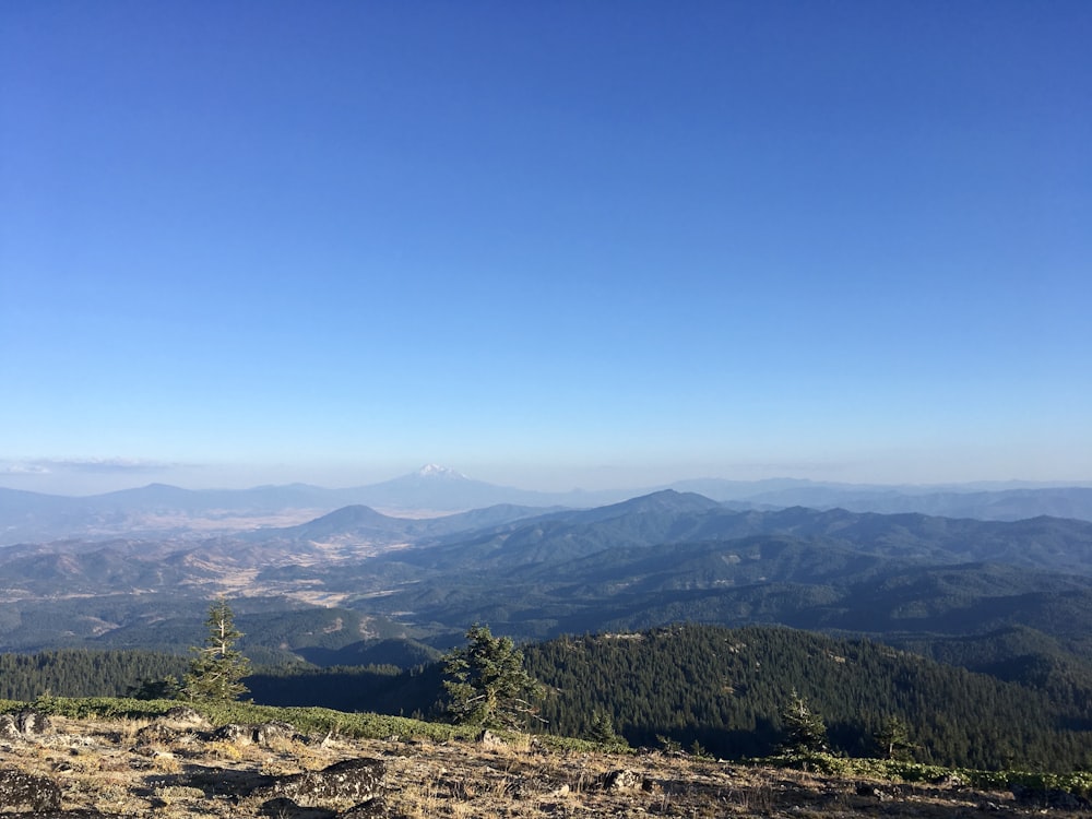 brown and green mountains