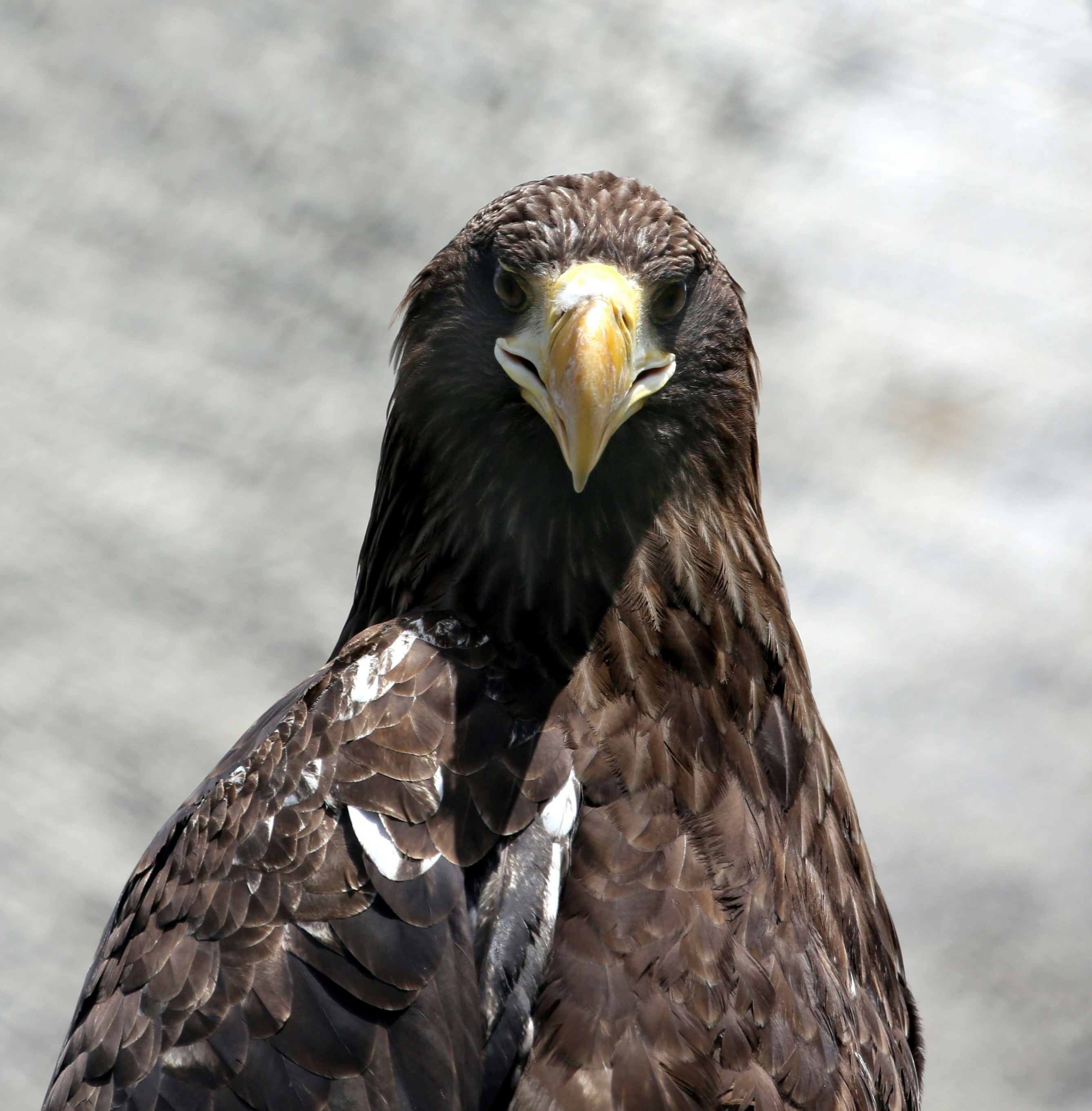 Photo by wherearemyshoesdude