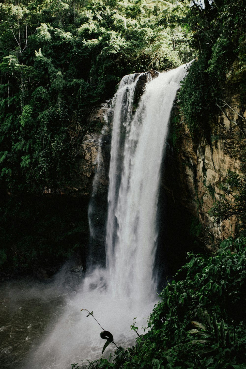 clear waterfalls during daytime