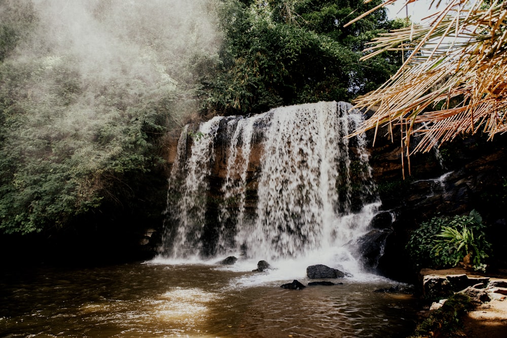 Wasserfall umgeben von Bäumen