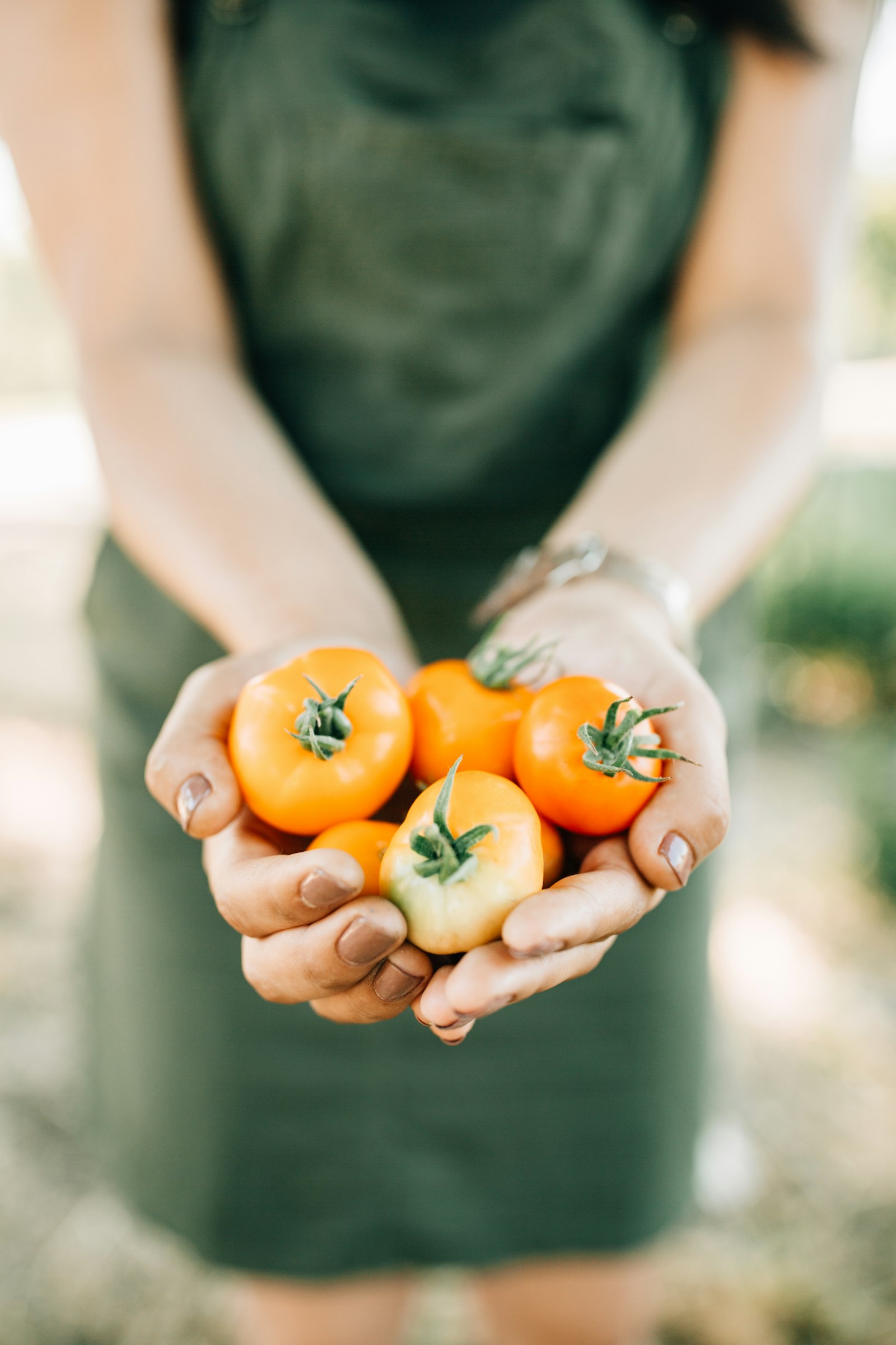 Canon EOS 5D Mark III + Canon EF 35mm F1.4L II USM sample photo. Red tomatoes on person's photography