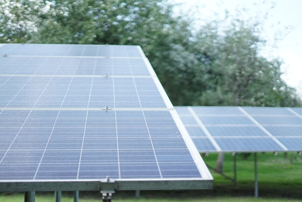 blue and gray solar panels