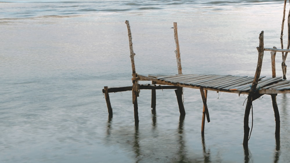 brown wooden dock