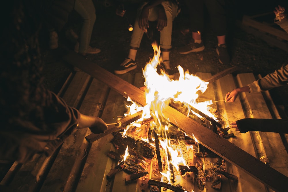 people in front of woods with fire