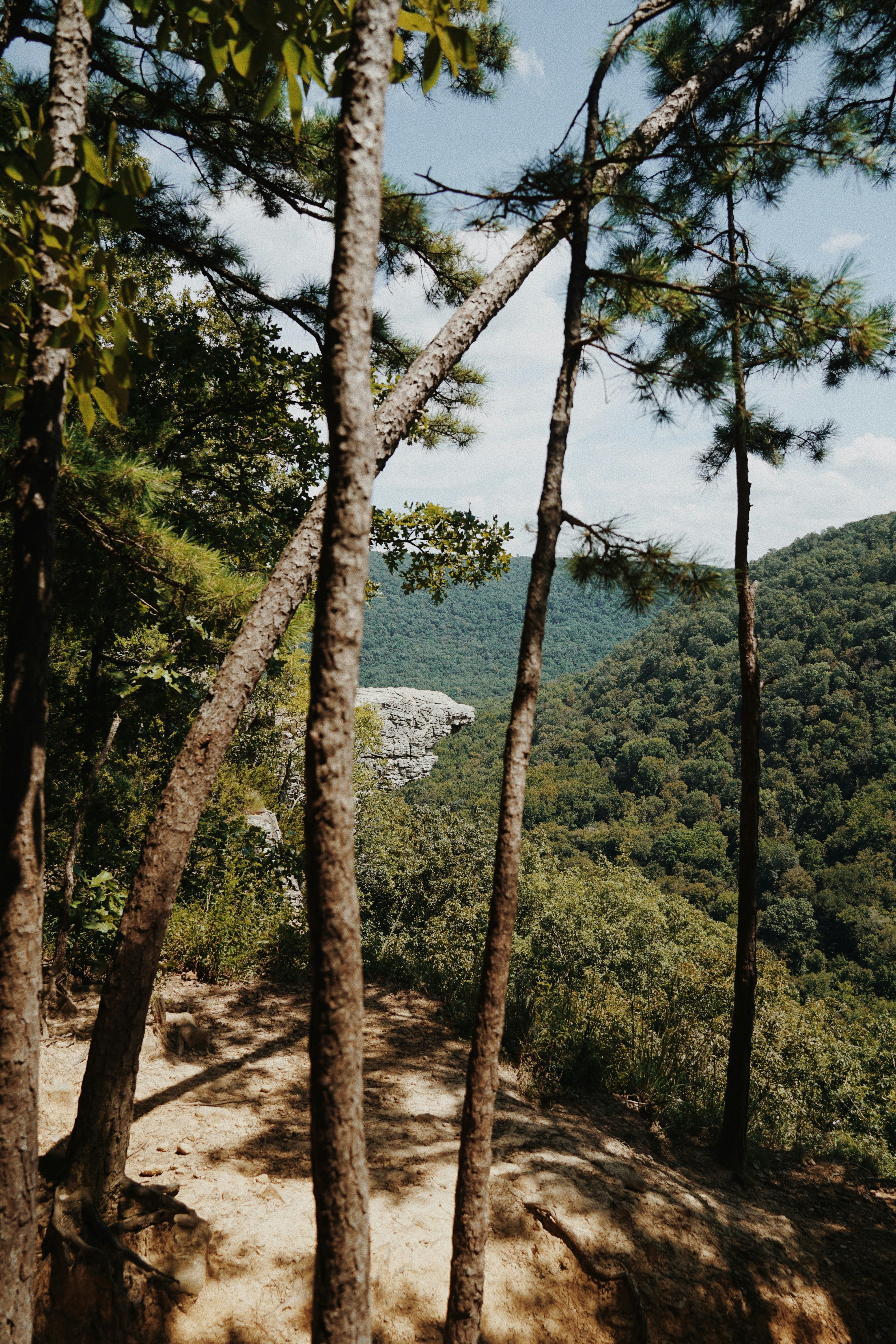 Photo by bayleigholson_