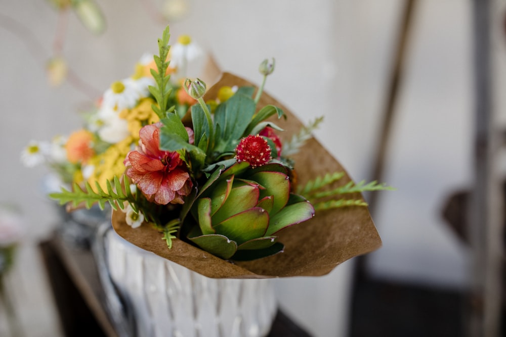 red petaled flowers