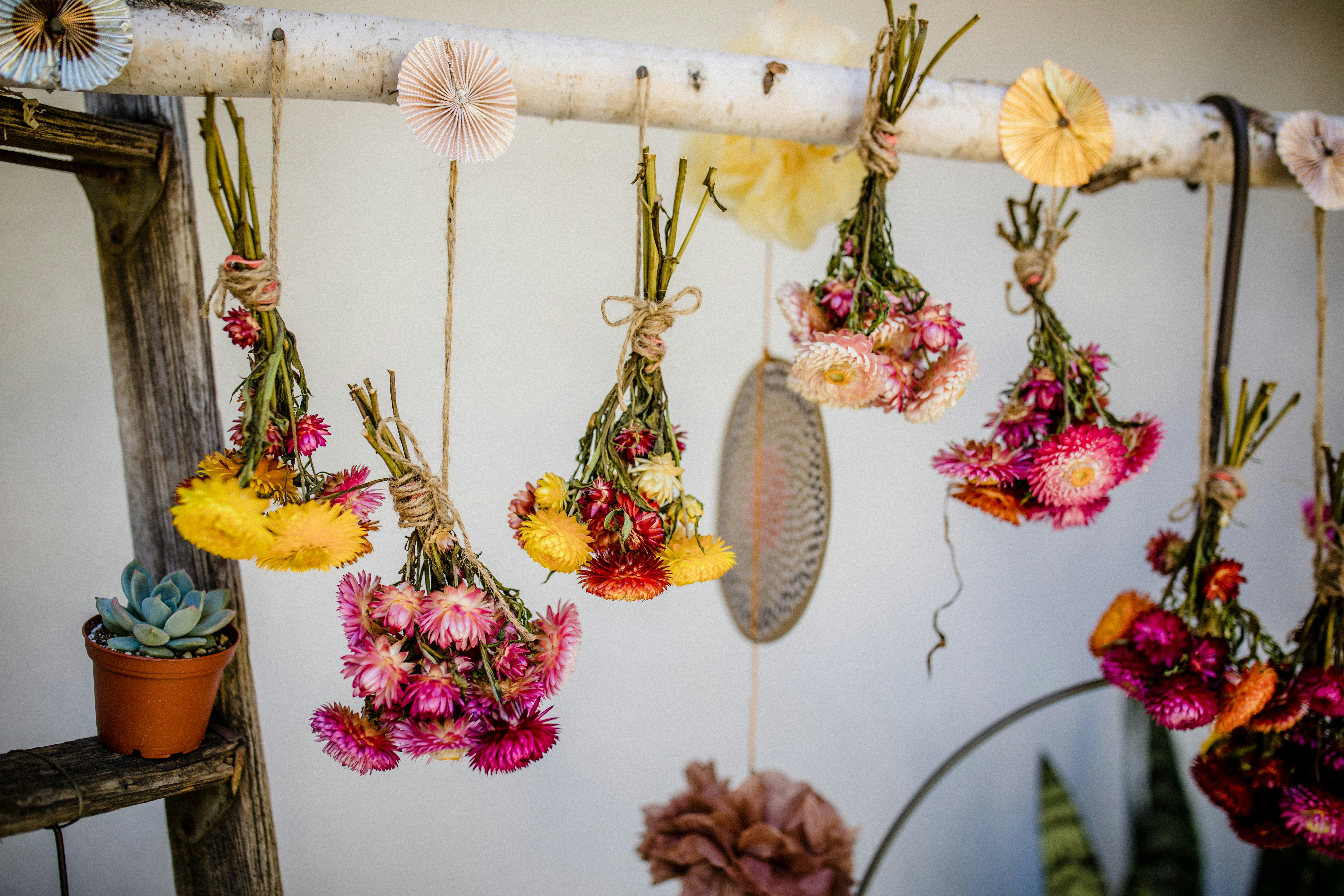 Decoração com Flores Secas: Charme Duradouro no Seu Jardim ou Varanda