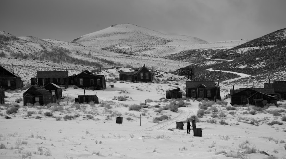 grayscale photography of houses