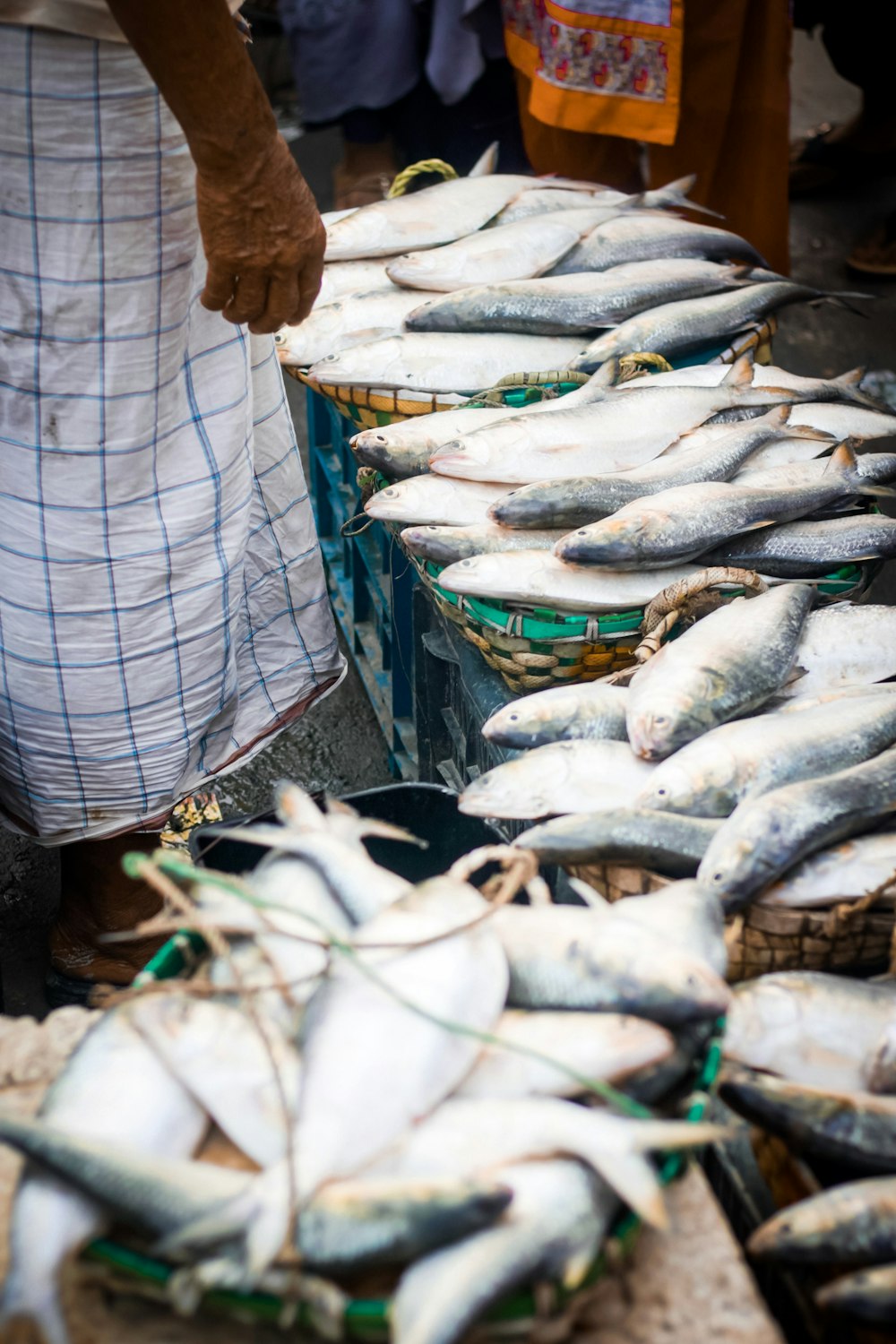 fish in market