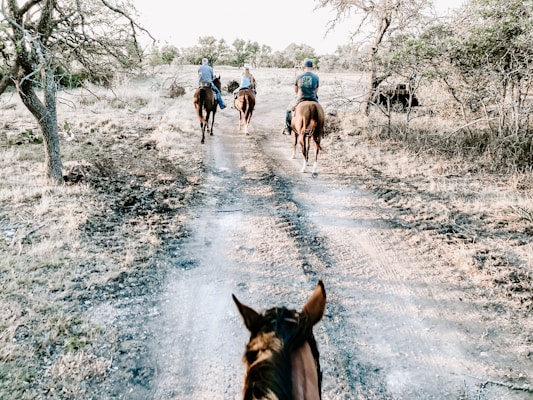 A group of horse riders traveling along a dirt path surrounded by dry, sparse vegetation and scattered trees. The perspective is from one of the riders, showing the back of the horse's head in the foreground. The scene appears peaceful and natural, with riders spread in a line down the path under a bright, clear sky.