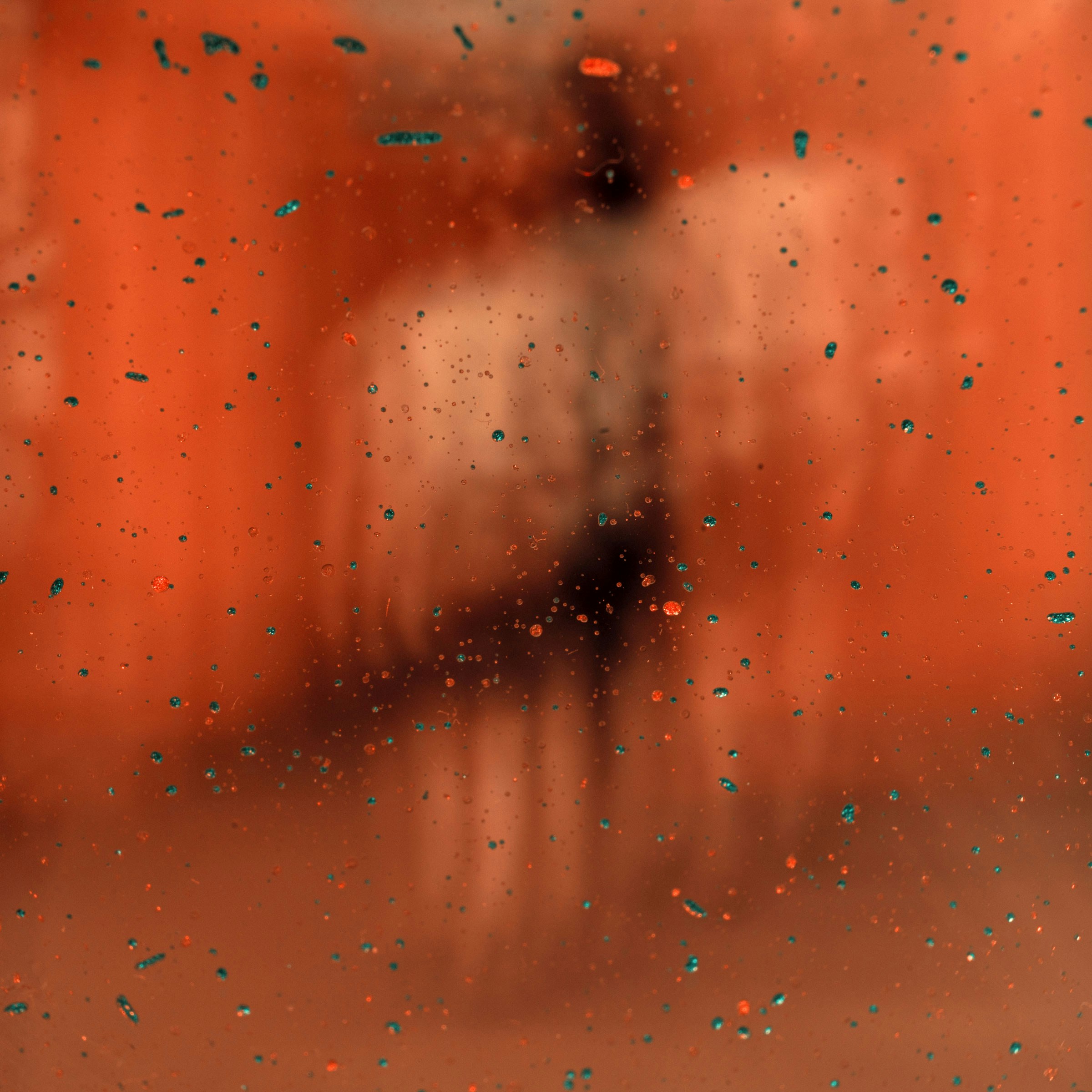 2025-05-26 - 明明不是我的問題卻變成我的問題…了嗎…？？