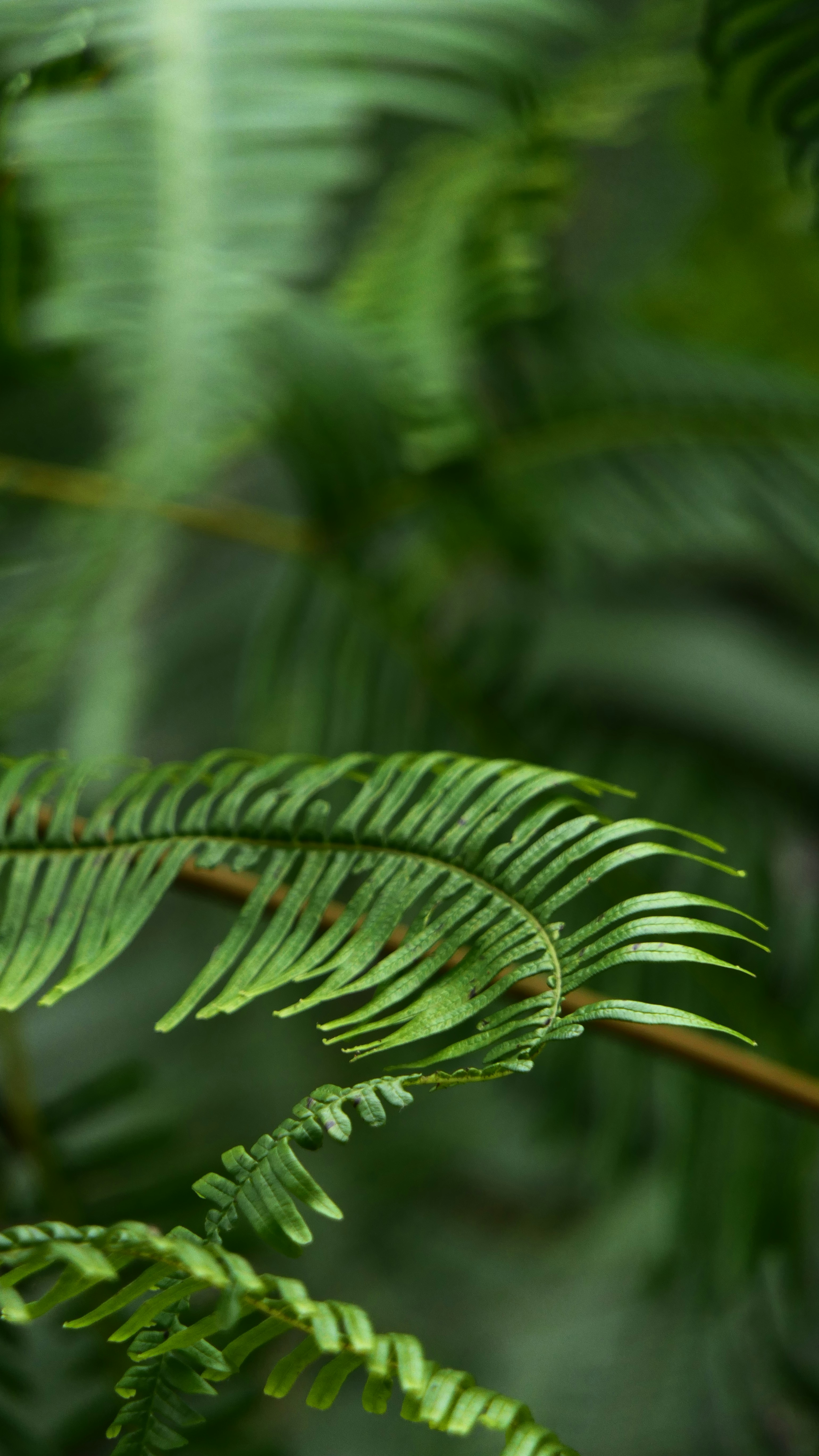 Photo by utsmanmedia