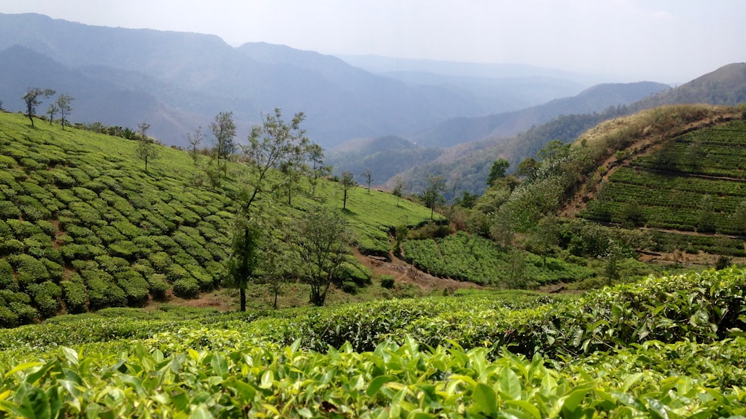 Hill station photo spot Maagamali Periyar Tiger Reserve