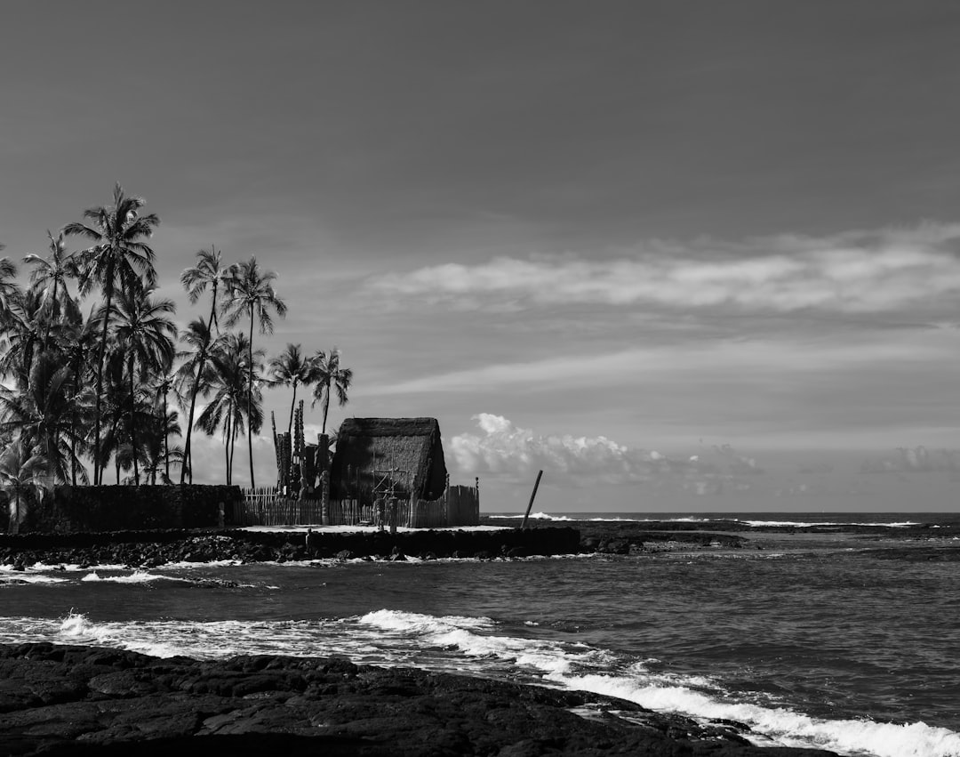 grayscale photography of sea and house
