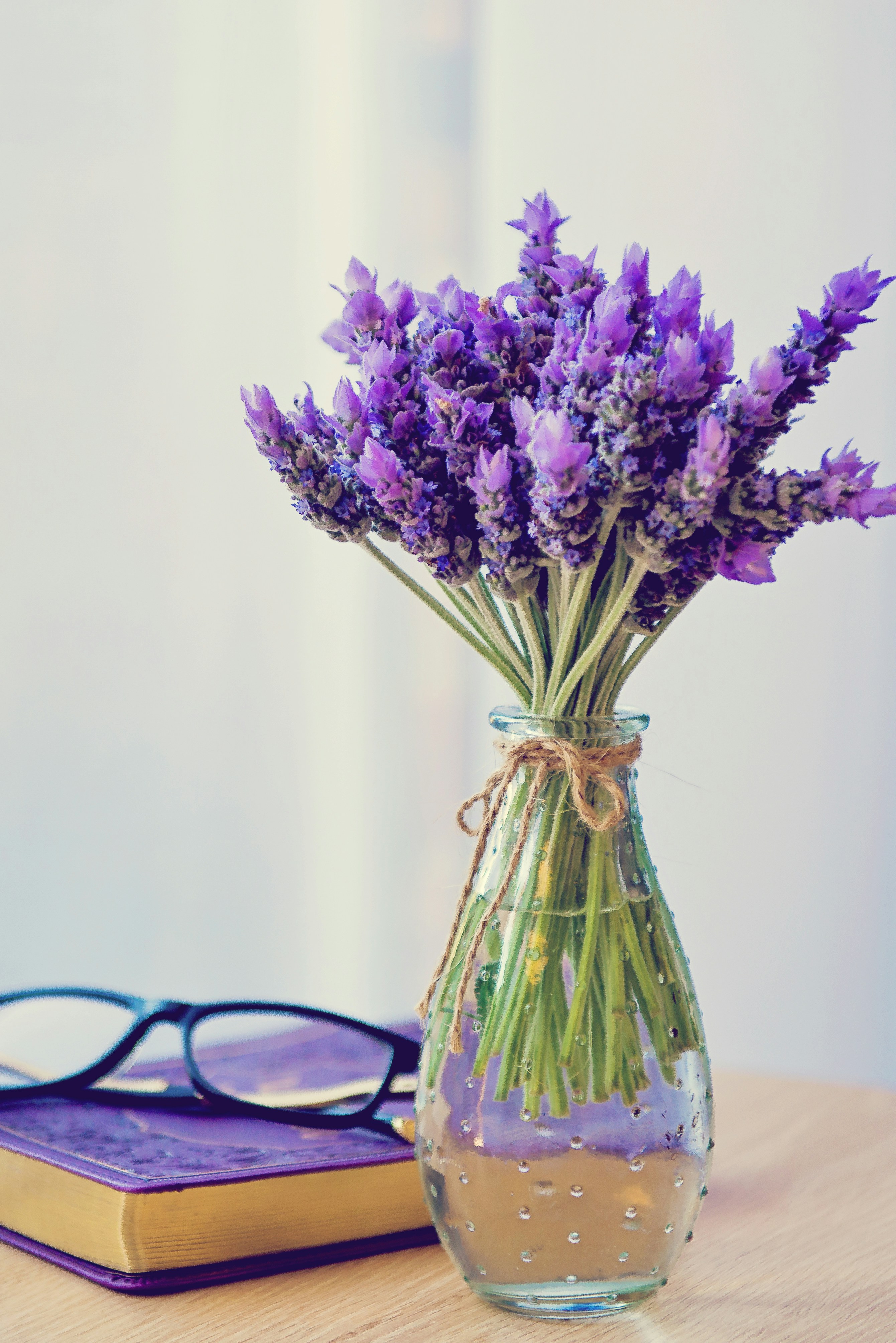 Photo by nicolepearce