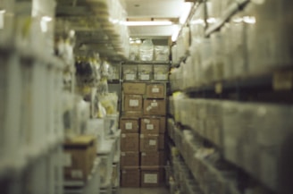 A long aisle in a warehouse or storage facility with shelves on both sides filled with boxes and containers. The shelves appear to be made of metal and are stacked high with various sized cardboard boxes and plastic bins. The lighting is dim, contributing to a slightly murky atmosphere.