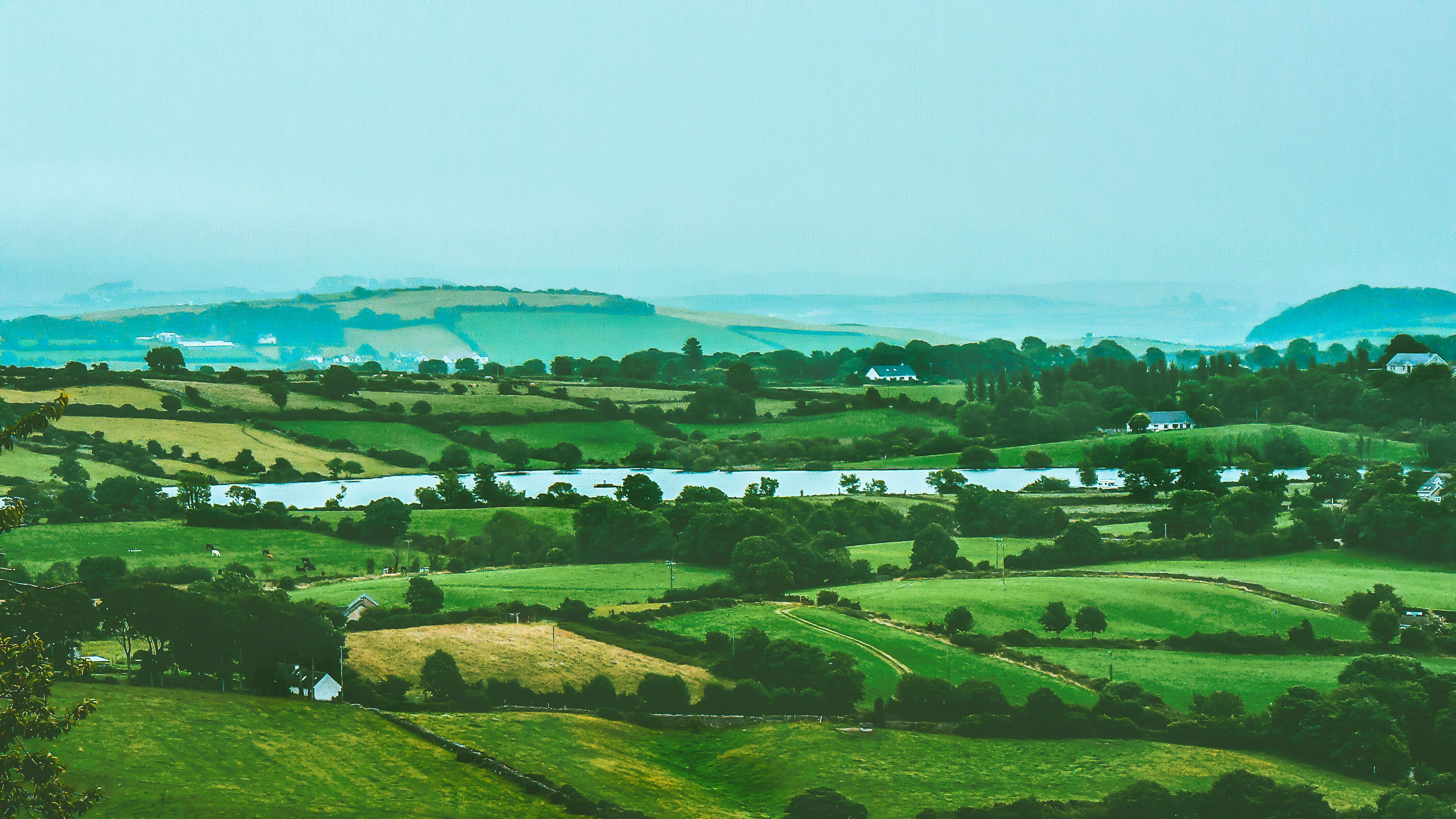 aerial photo of green field