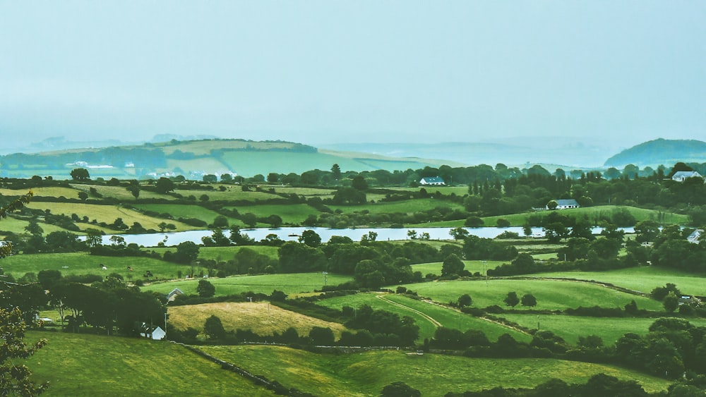 aerial photo of green field