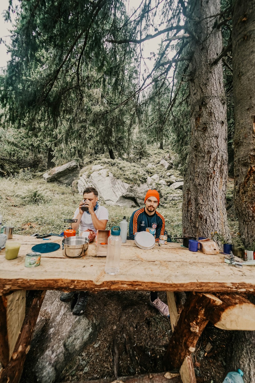 two men sitting at table beside trees