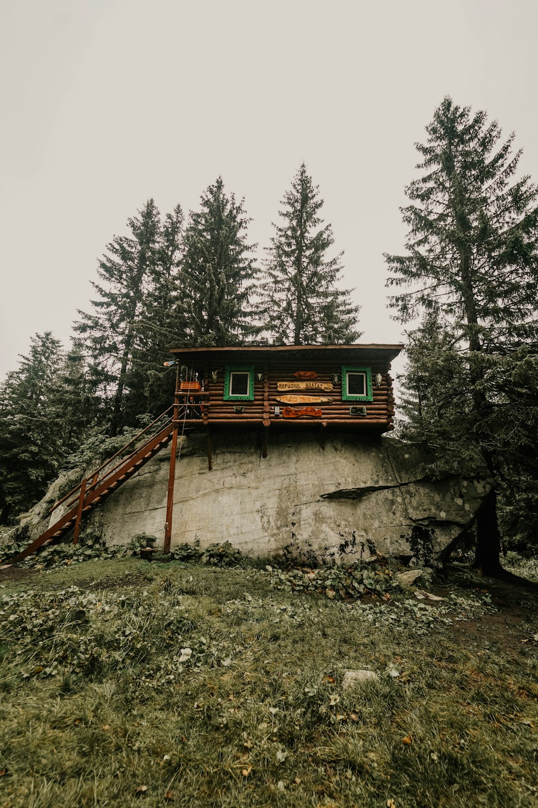 brown wooden house surrounded with trees